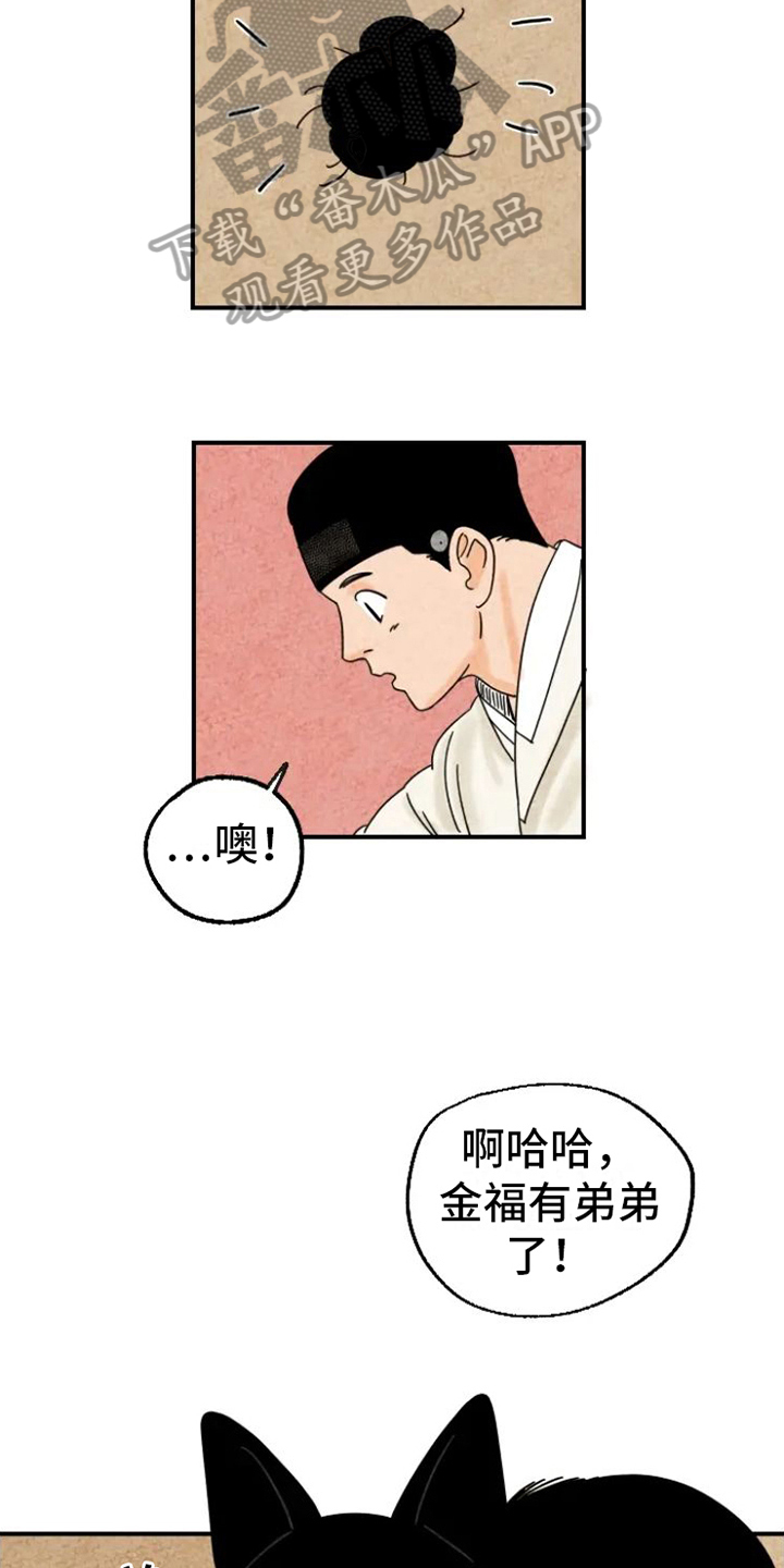金福的故事漫画多少章漫画,第15章：脏猫5图