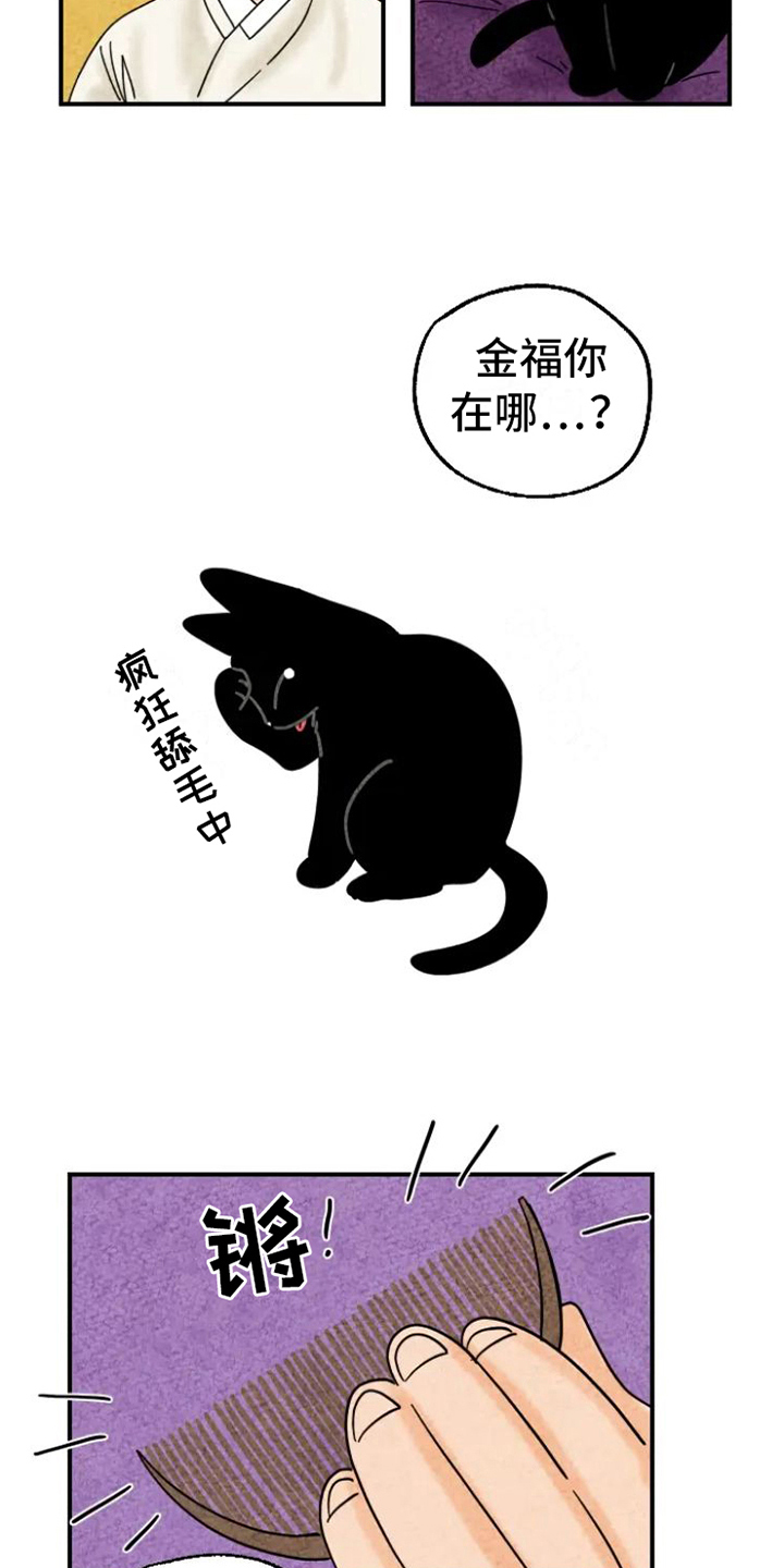 金福的故事漫画多少章漫画,第15章：脏猫2图