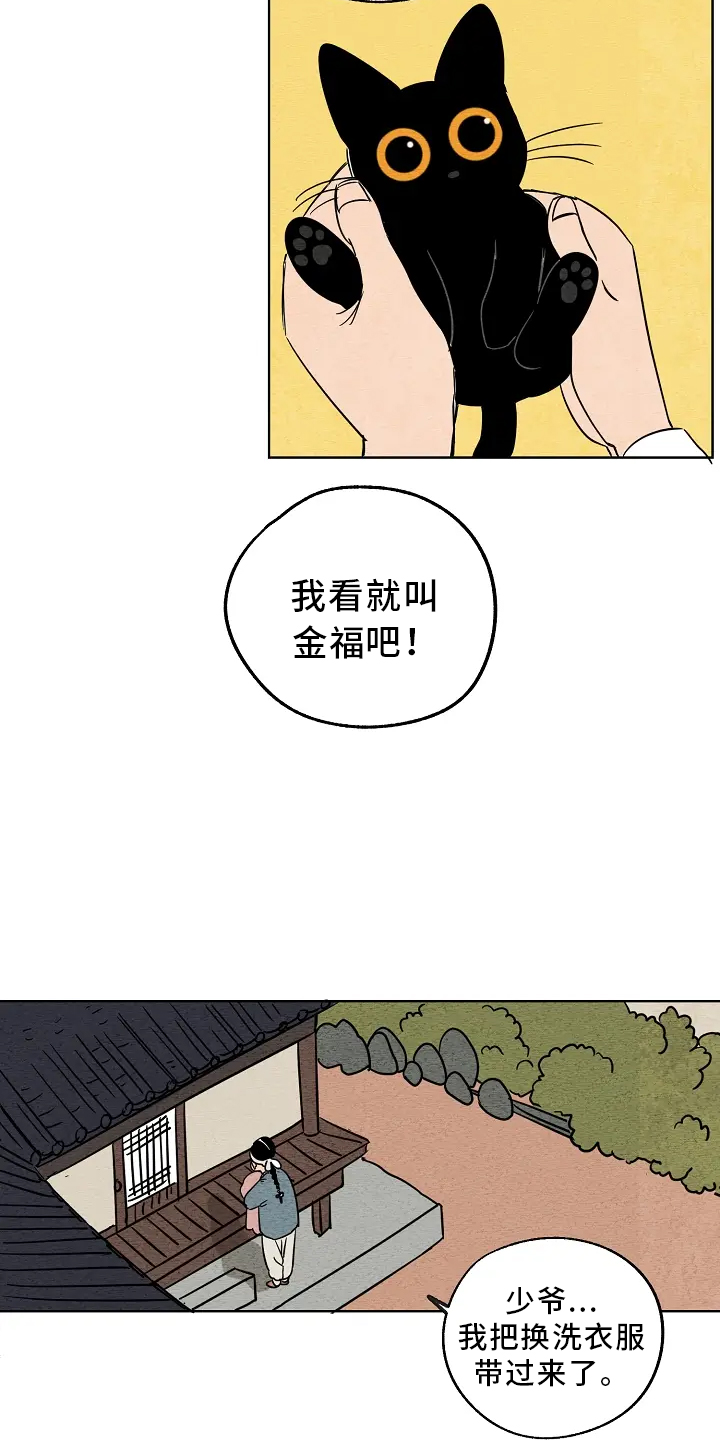 第2章：收养3