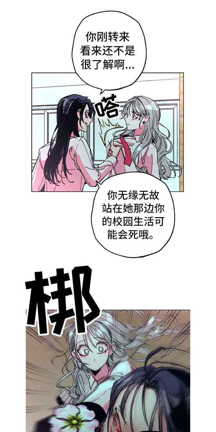 第2章：铲除暴力2
