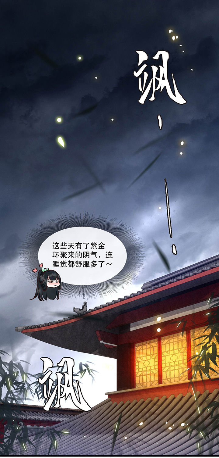这个王妃路子野得宠有声书漫画,第53章：放你出去，一日放纵1图