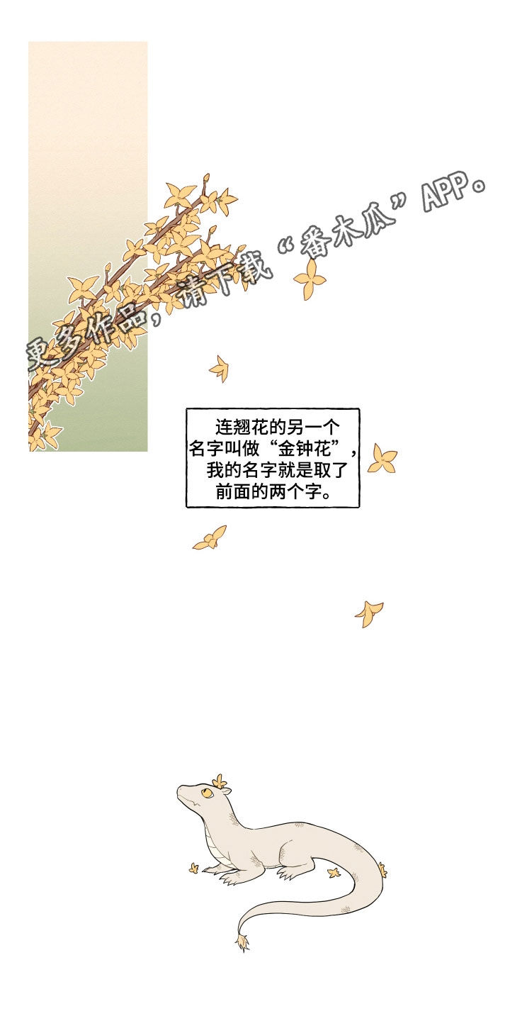 砚与龙漫画,第60章：【番外】练习1图