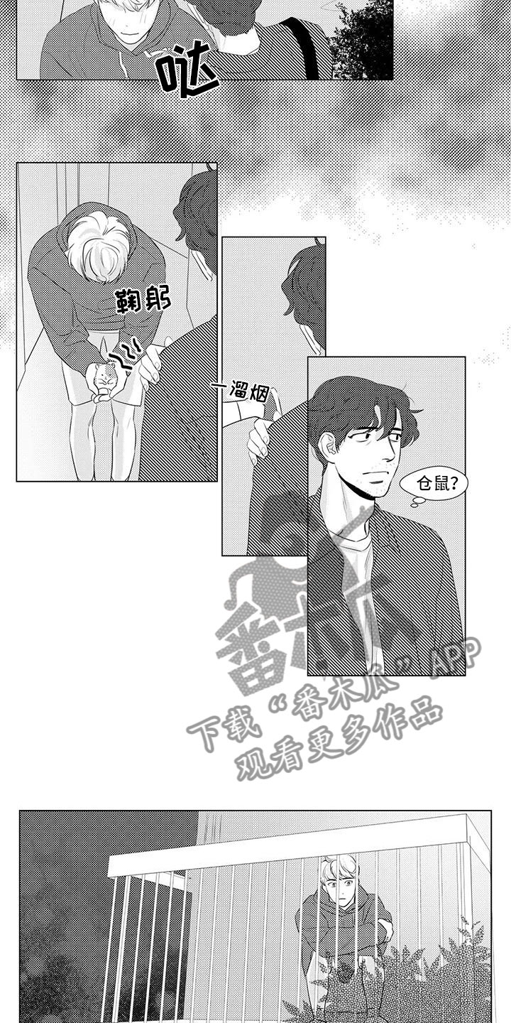 第17章：仓鼠1