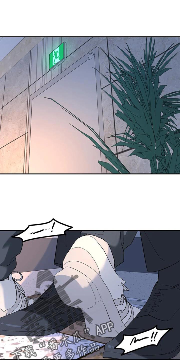 无根之树漫画,第57章：伤了腿脚1图