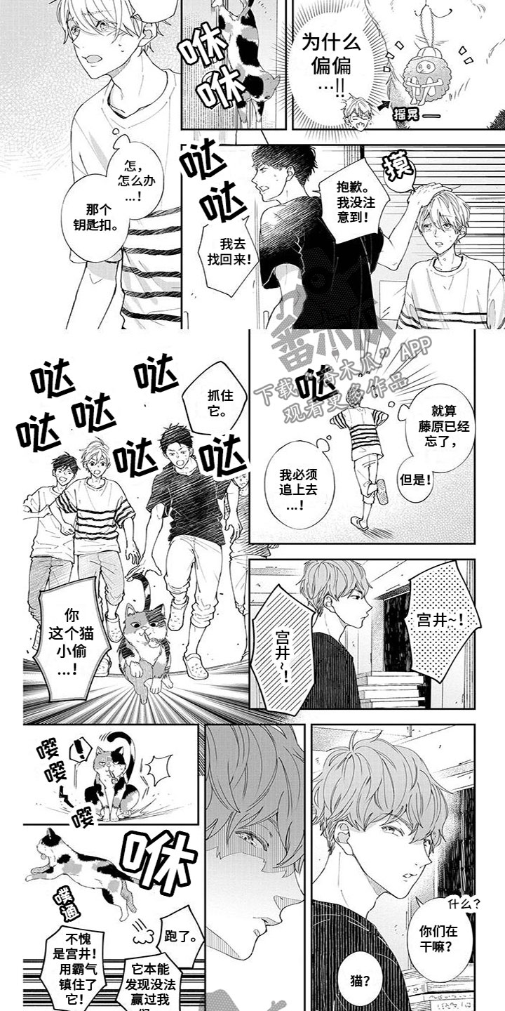 双向奔赴的爱情电视剧漫画,第46章：宝物4图