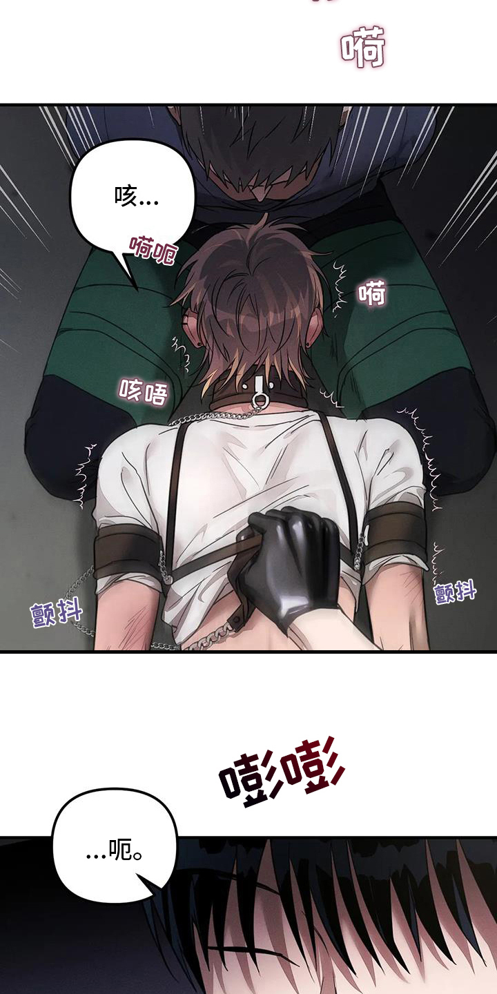 第61章：养狗：反抗3