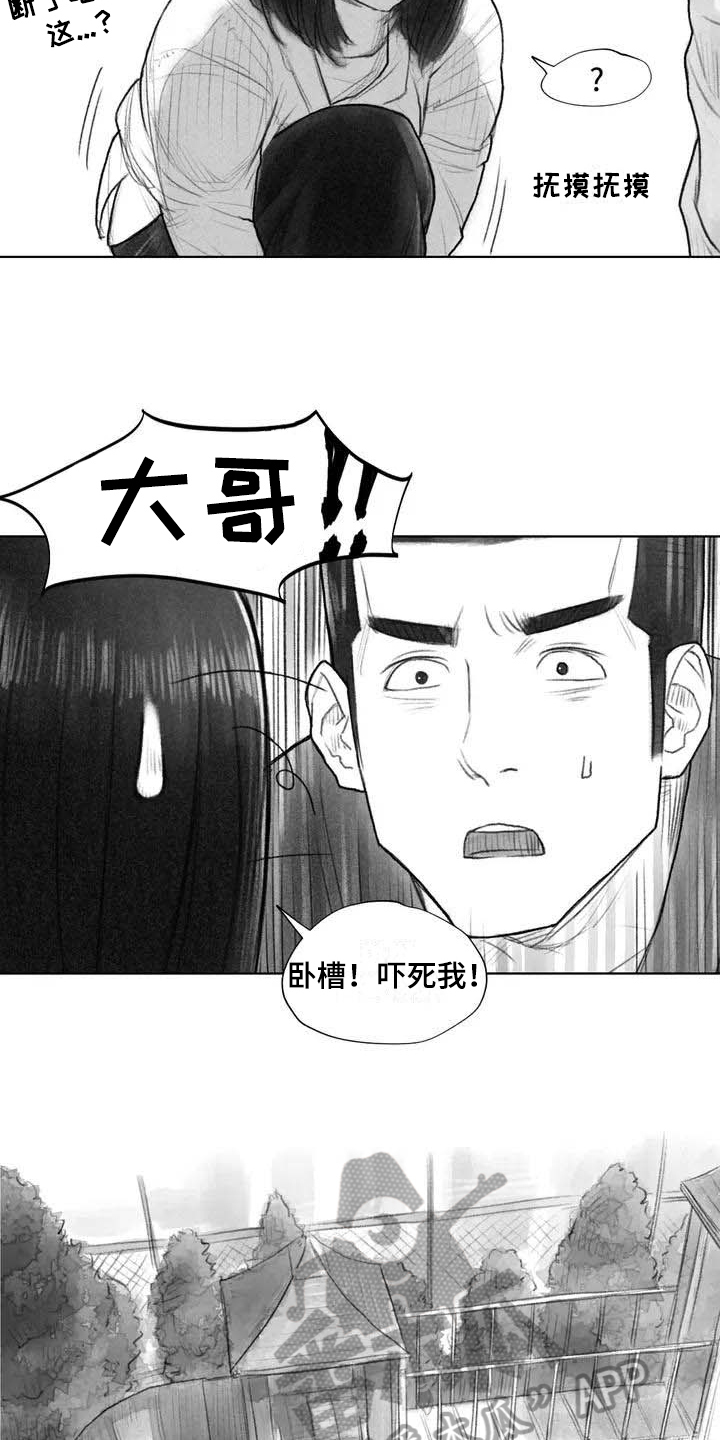 第17章：深刻3