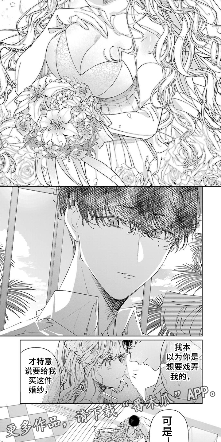 灰姑娘的专属刺客漫画,第5章：灰姑娘2图