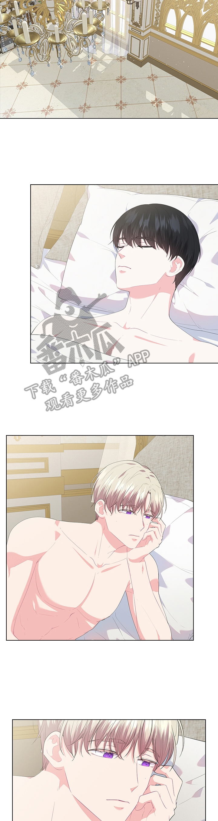 皇室血脉的明星有哪些漫画,第41章：喜欢2图