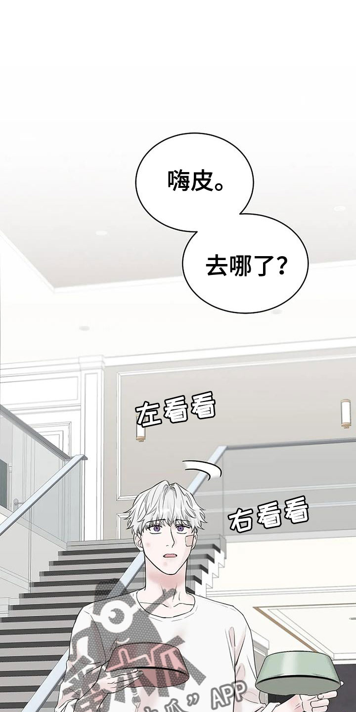 鬼吃灯系列电视剧漫画,第37章：回来了1图