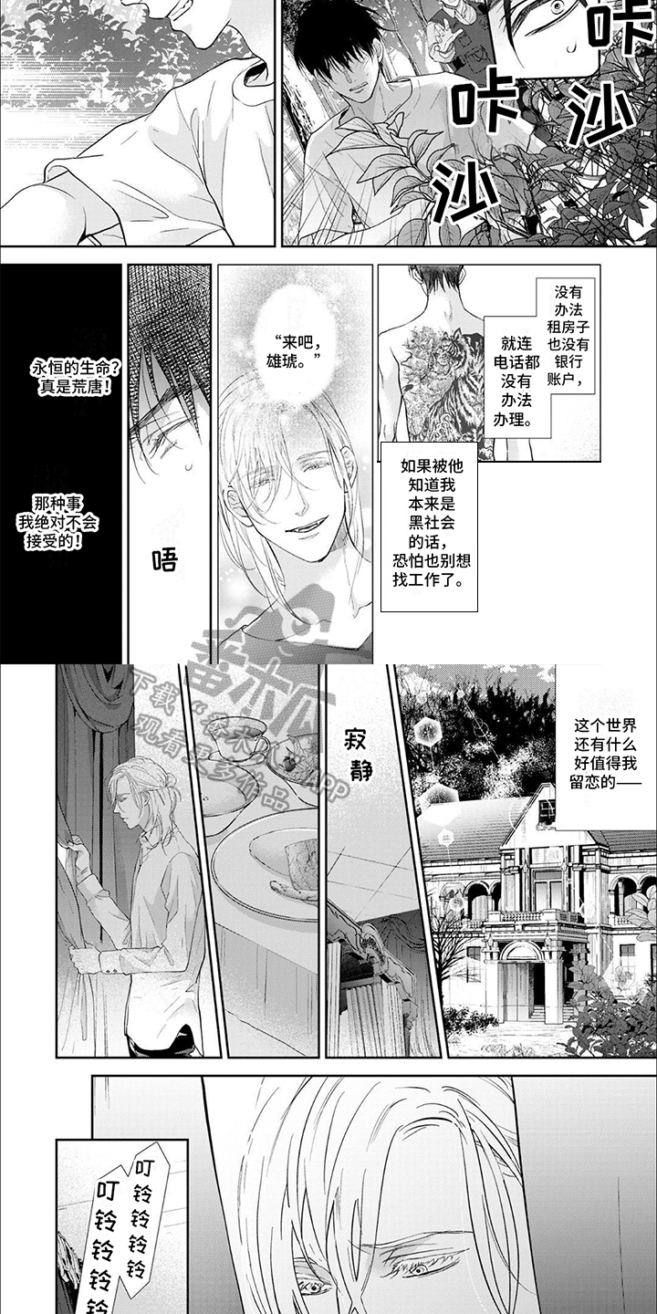 吸血鬼的假牙漫画,第4章：逃走4图