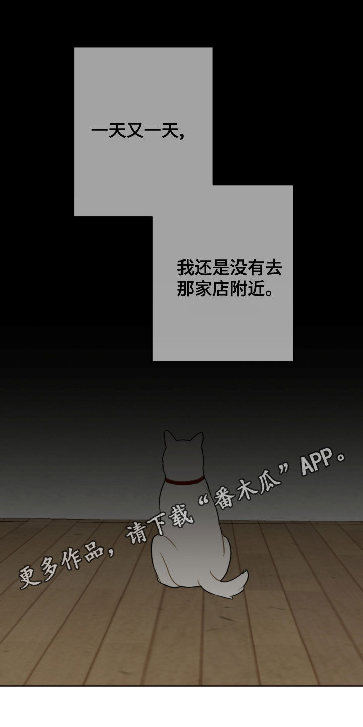 第116章：台风0