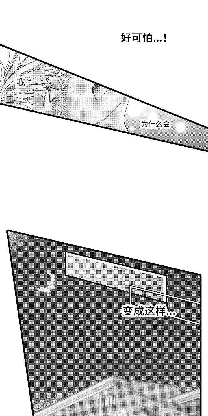 第1章：心意1