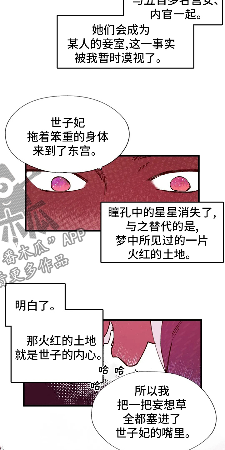 宫廷剧排行榜前十名漫画,第64章：迷宫3图