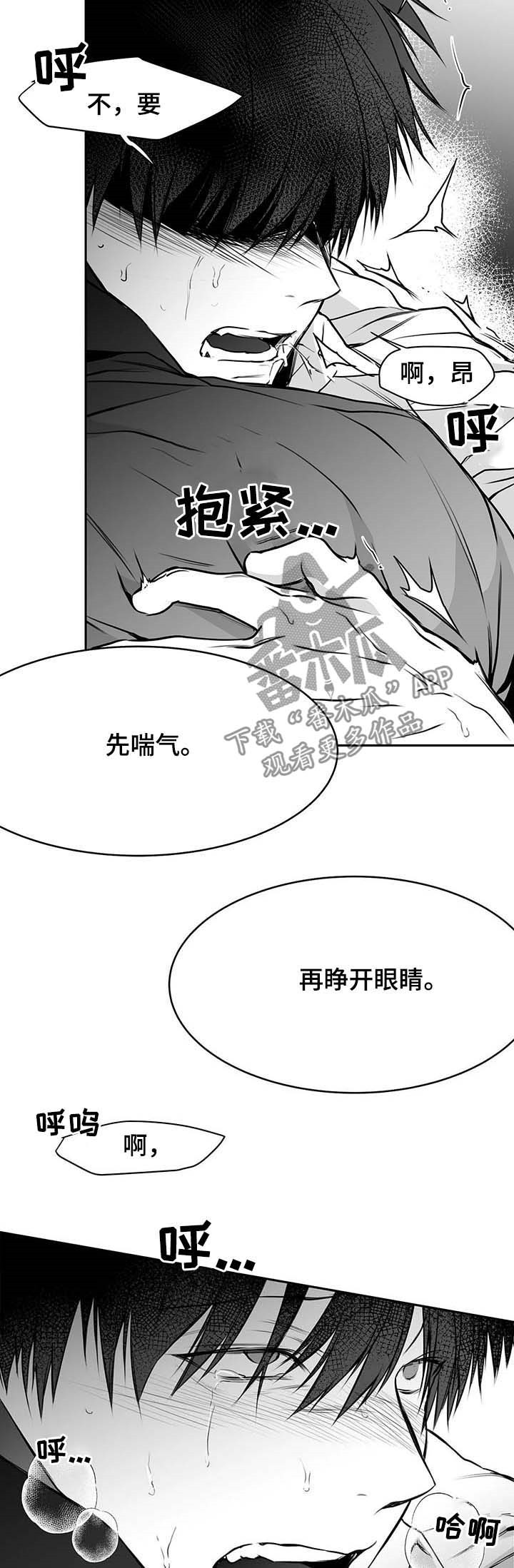 拳击手漫画,第69章：成为禽兽5图