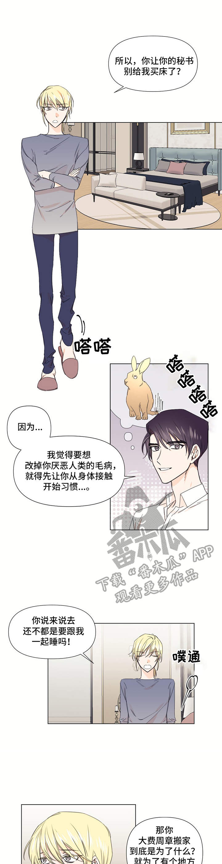 第21章：疑惑0