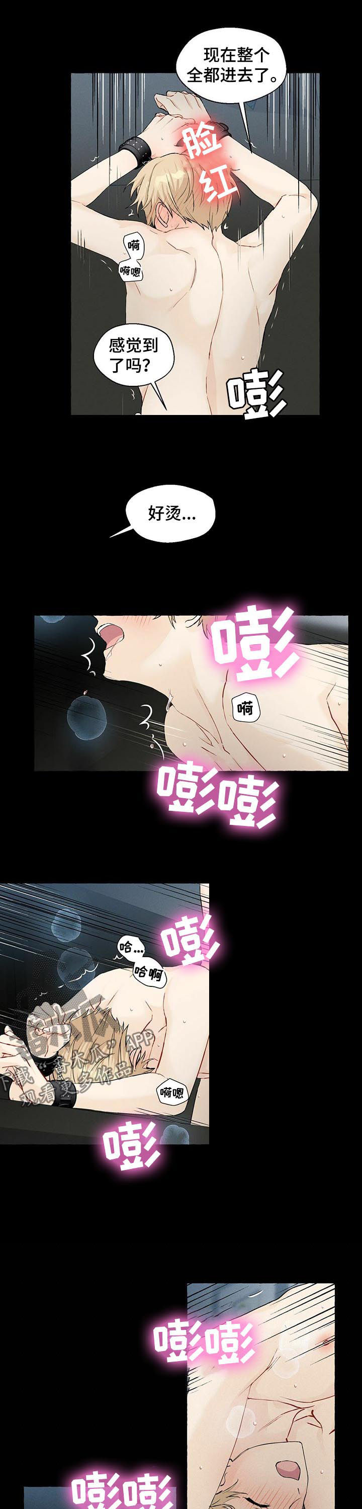 香草搭档在哪看漫画,第41章：太坏了2图