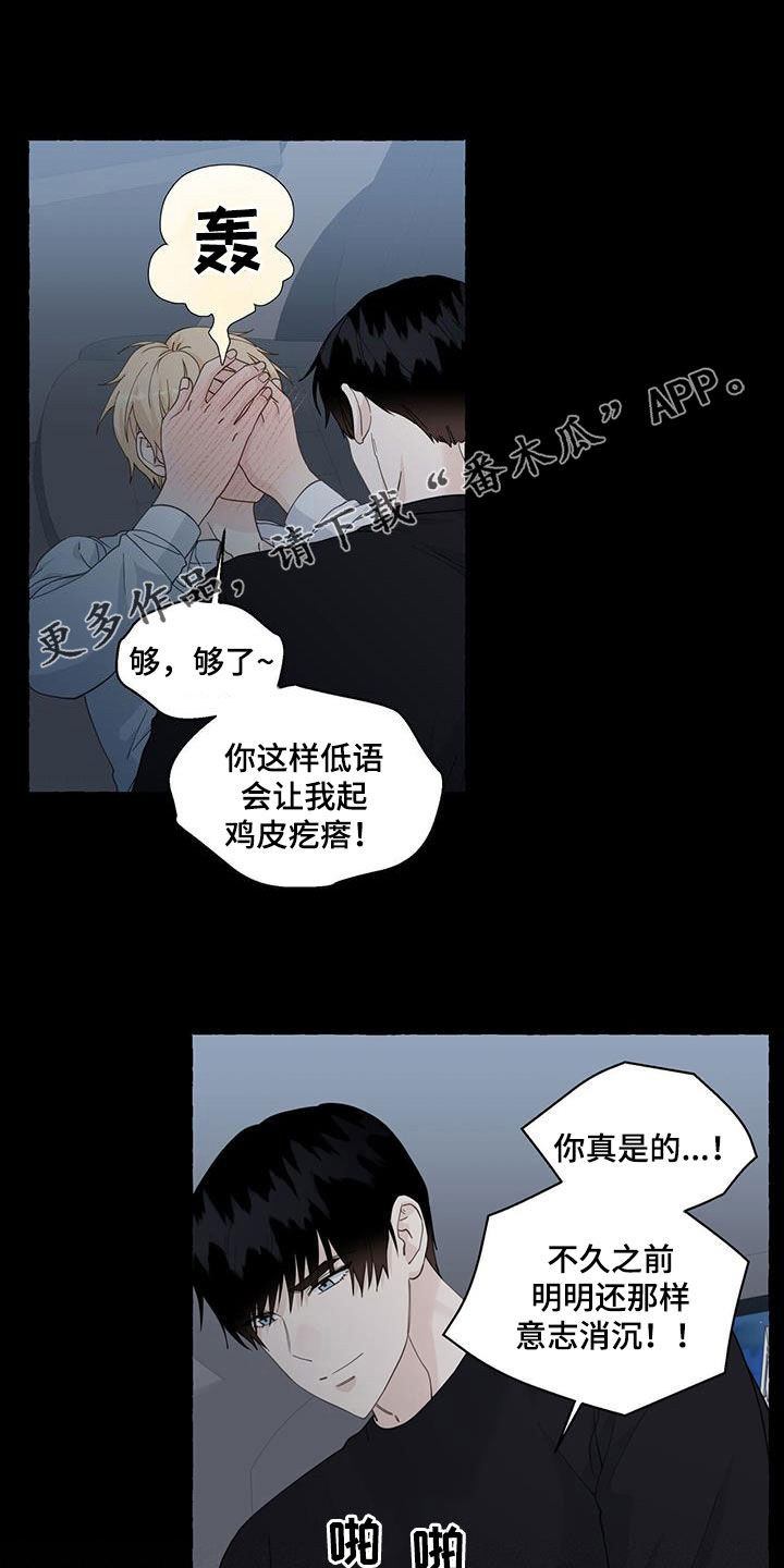 香草搭档在哪看漫画,第133章：回家吧1图