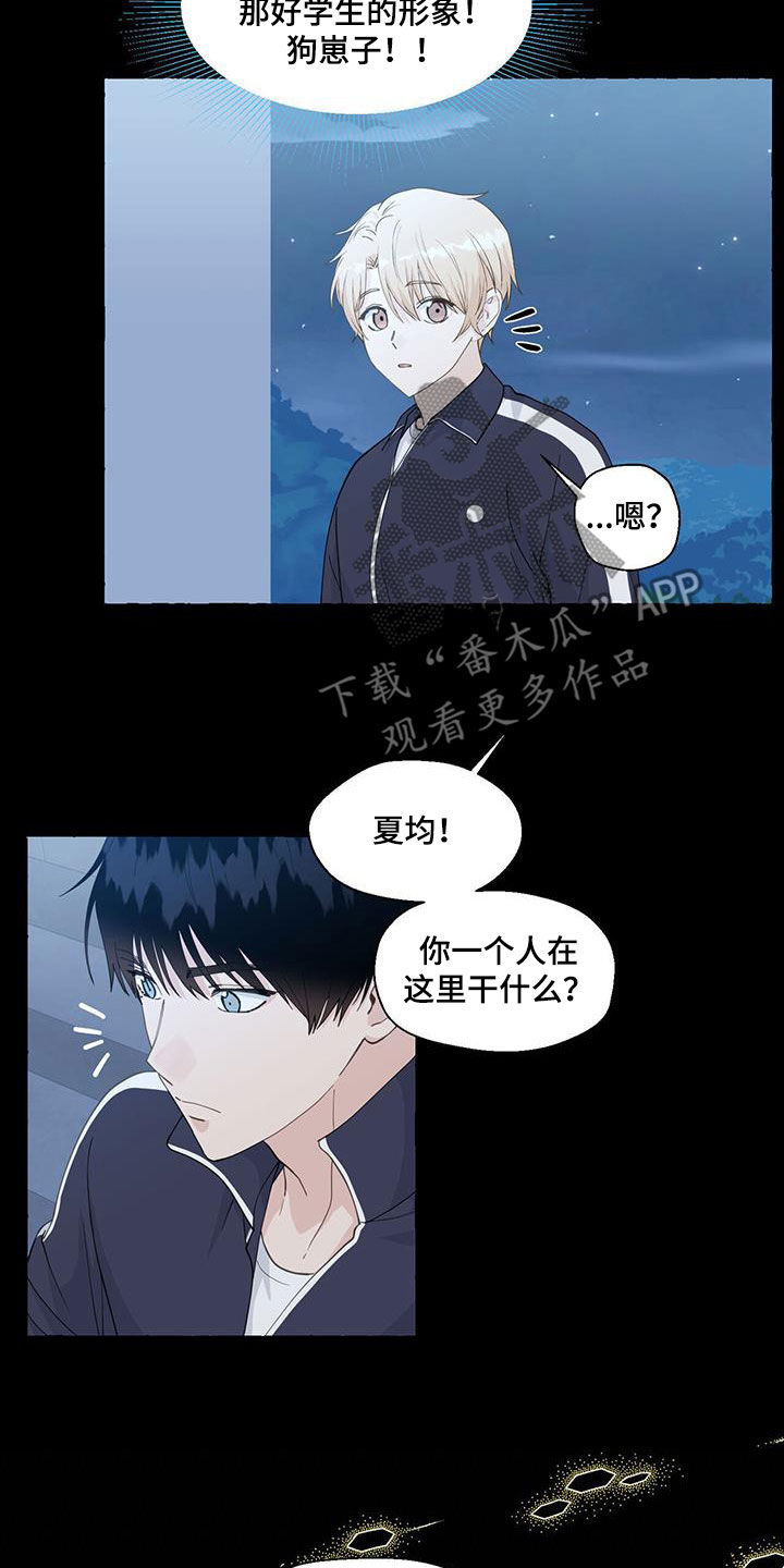 香草搭档简介漫画,第144章：这是我的5图