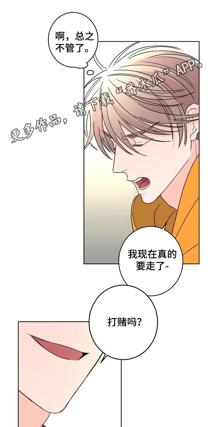 贝塔的真实图片漫画,第43章：打赌1图