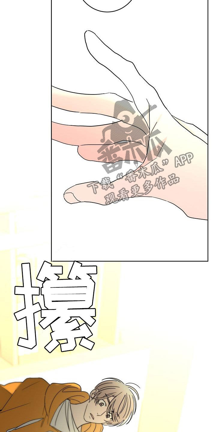 贝塔的七个姐姐一口气全看完漫画,第40章：私生子5图