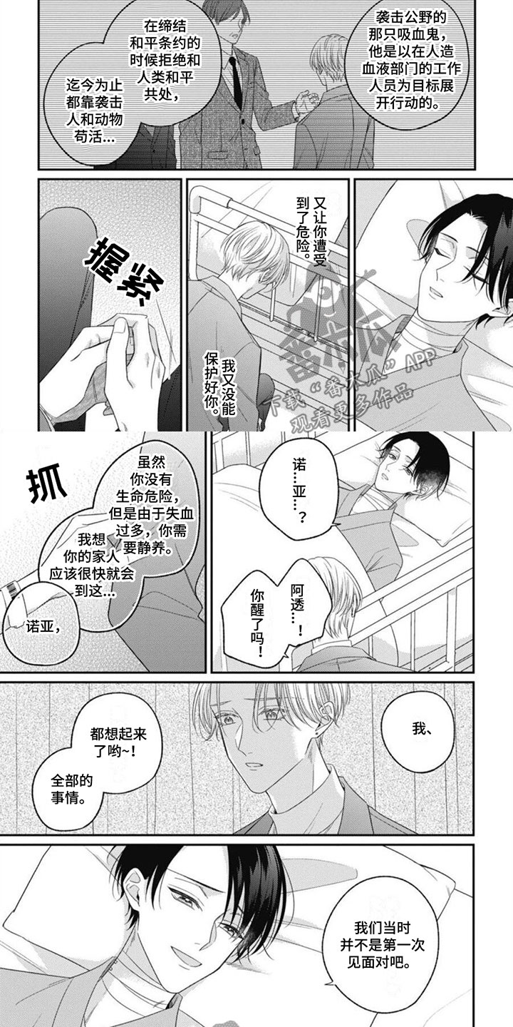 我的吸血鬼总裁漫画,第9章：醒来回忆2图