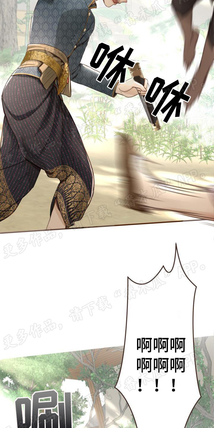 暹罗最美的少爷漫画,第6章：小国王2图