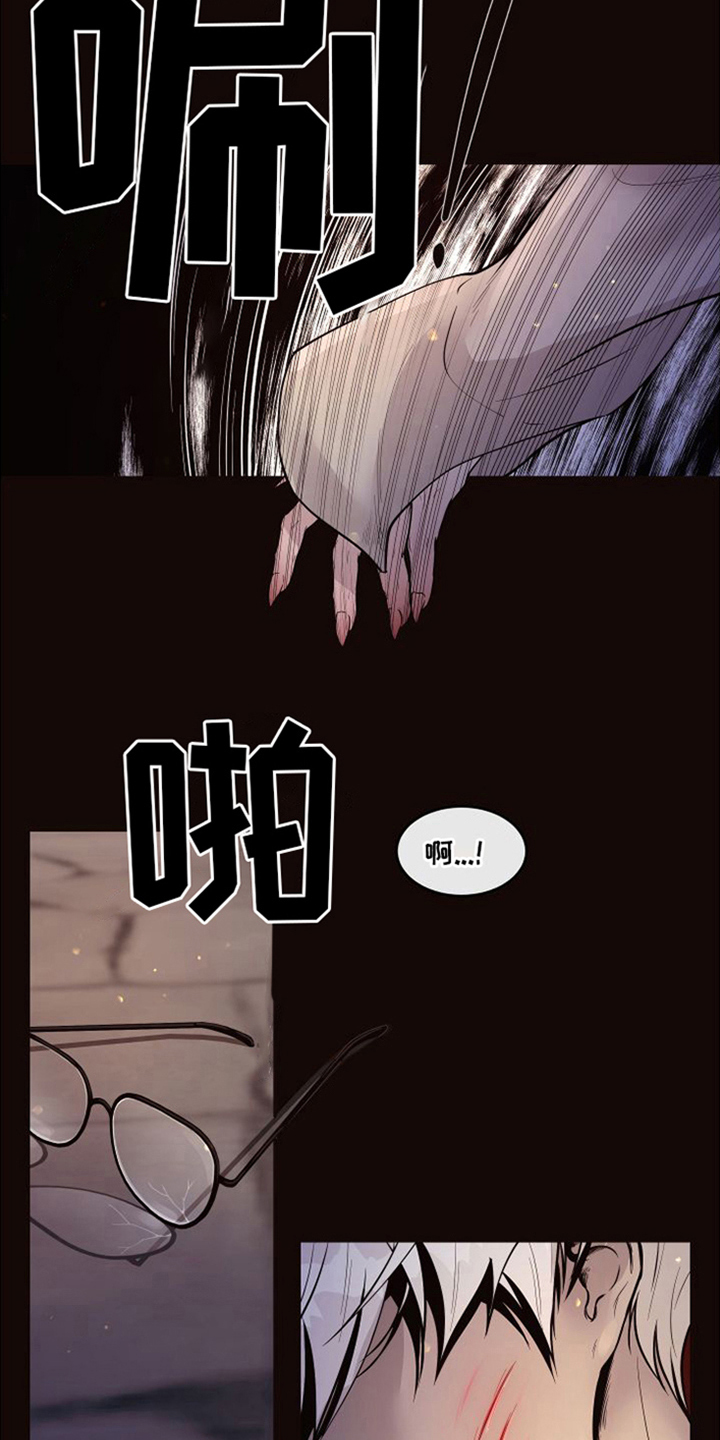 第22章：北极兔：唯一的黑色（完）1