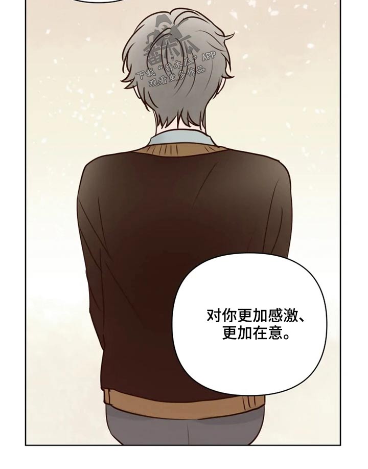 兔龟合作漫画,第37章：不可以5图