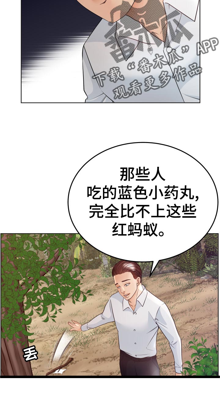 高丽酒店有wifi吗漫画,第71章：红蚂蚁2图