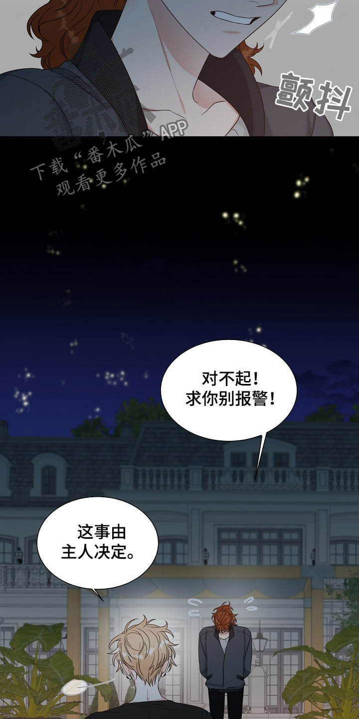 傲娇小青梅甜又黏又在偷看我漫画,第15章：找相机2图