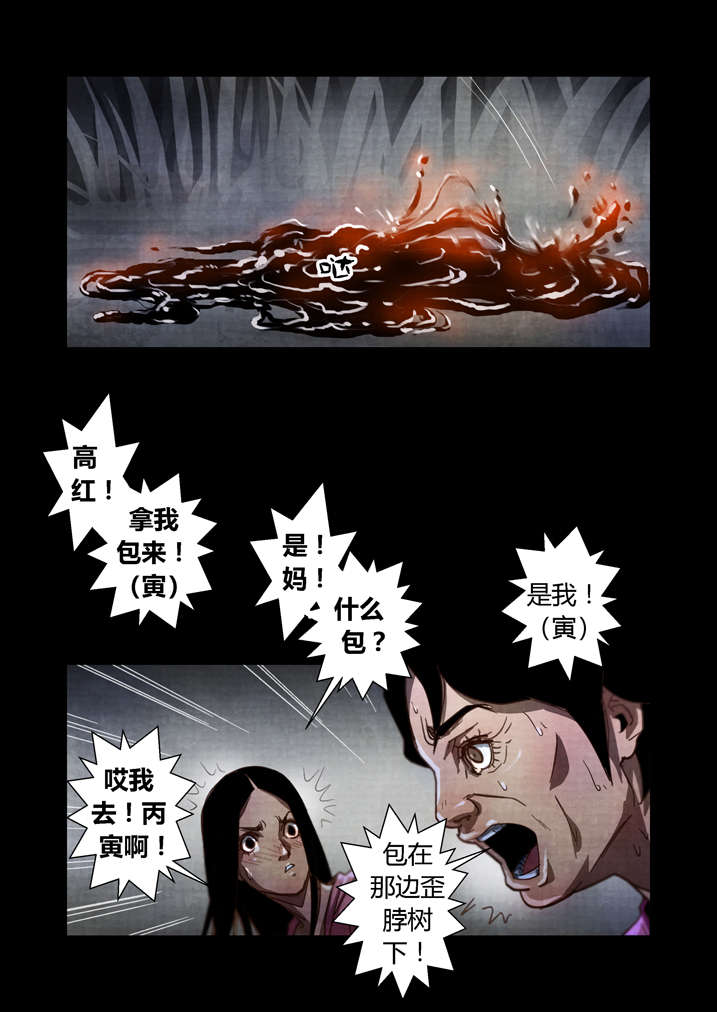 魂收漫画,第27章： 入土为安4图