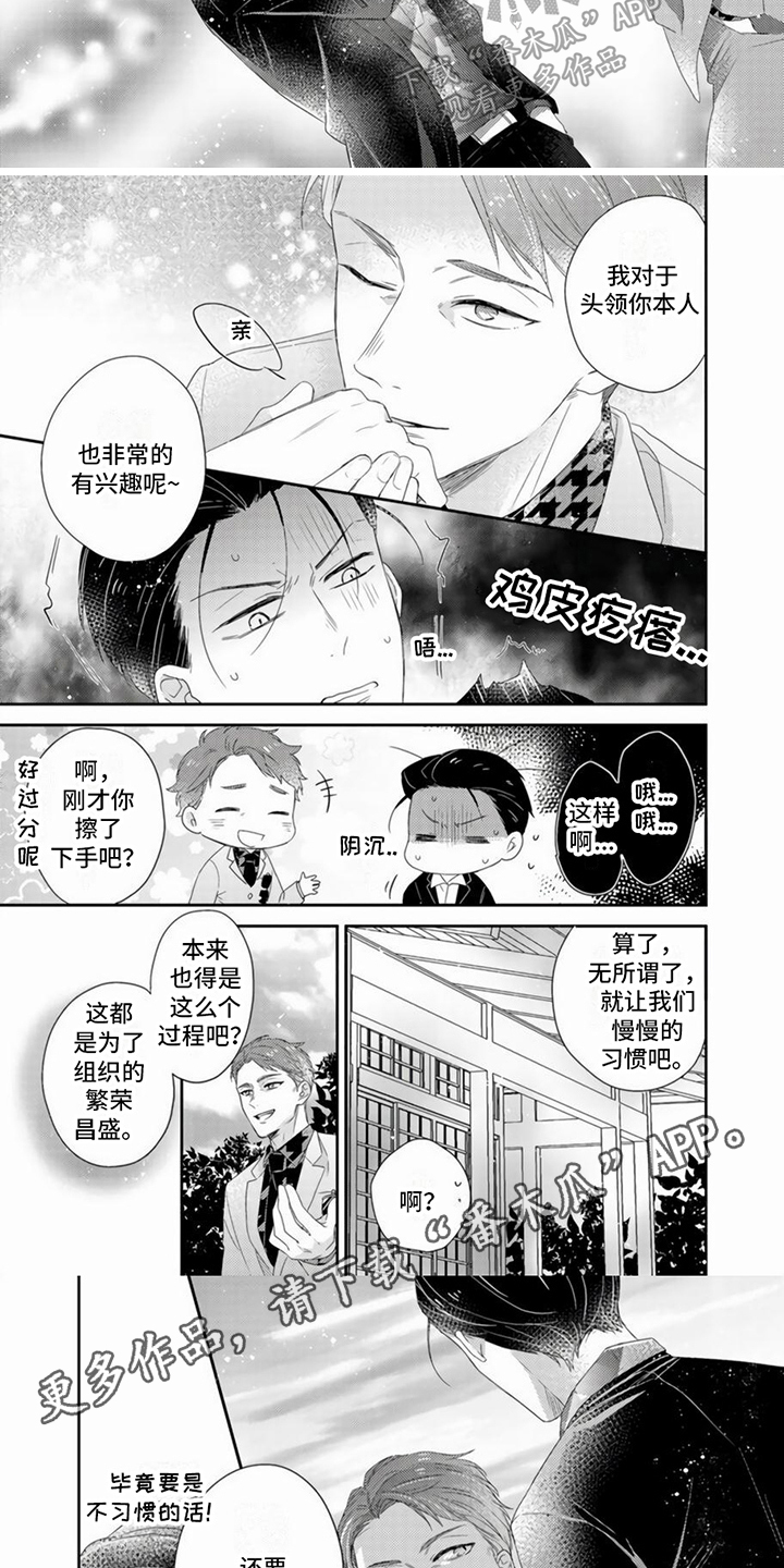 第14章：直截了当3