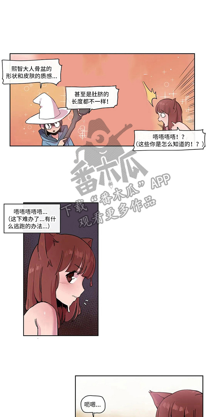 第20章：反击1