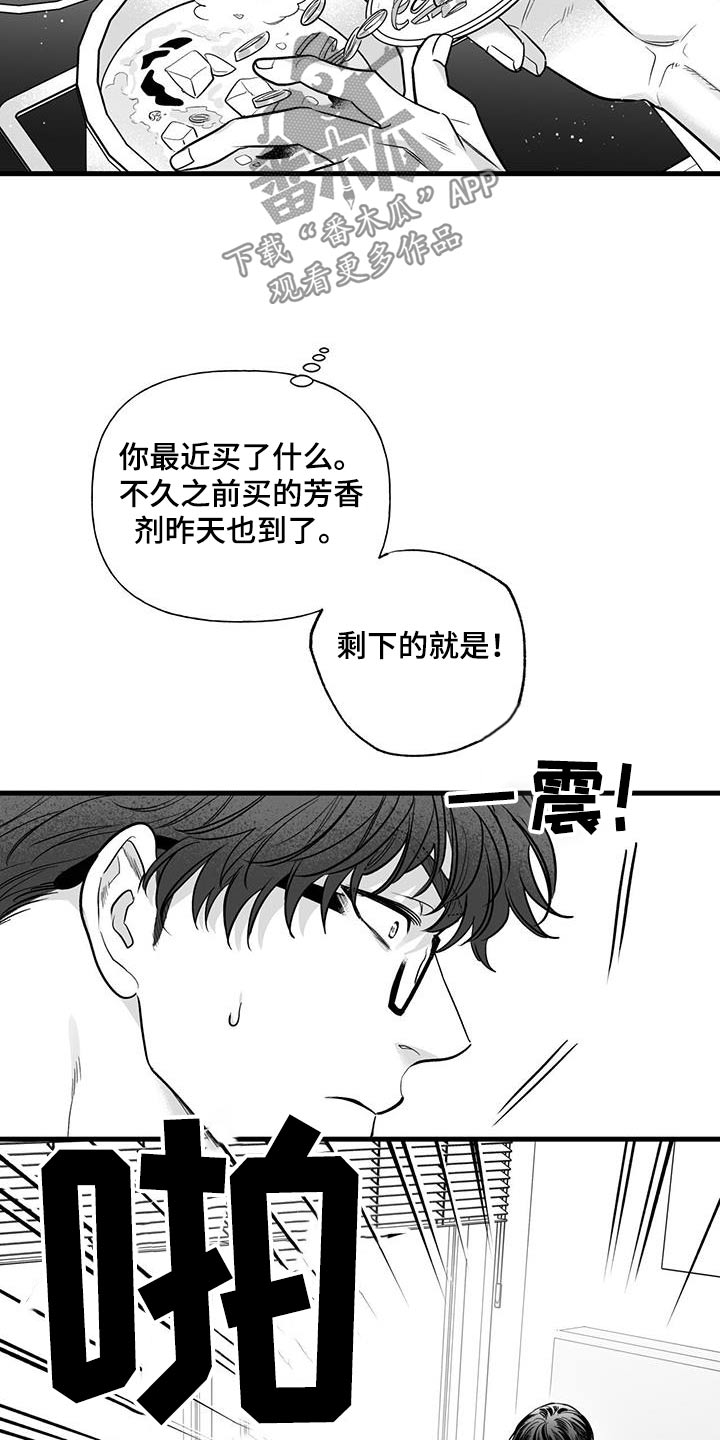 无法抑制自己的感情的四字词语漫画,第25章：【番外】快递5图