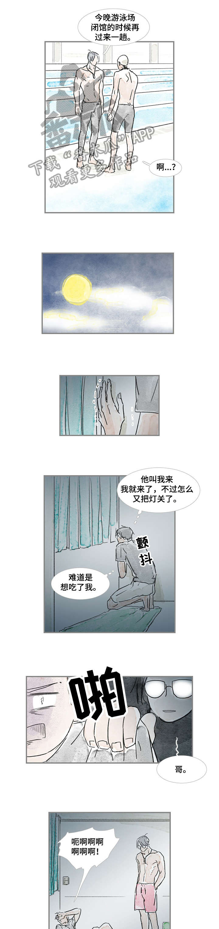 第15章：海豚2