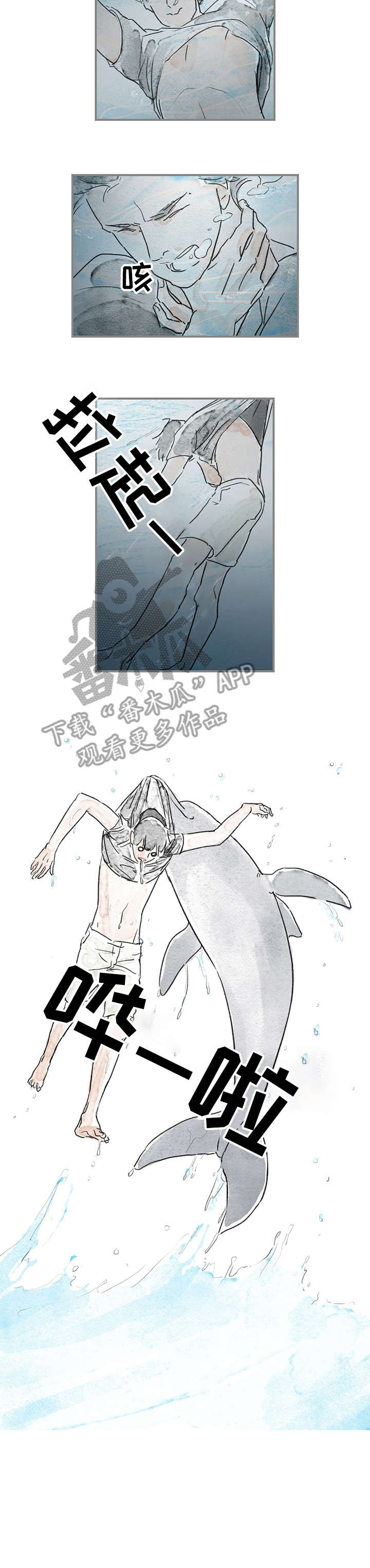第15章：海豚4