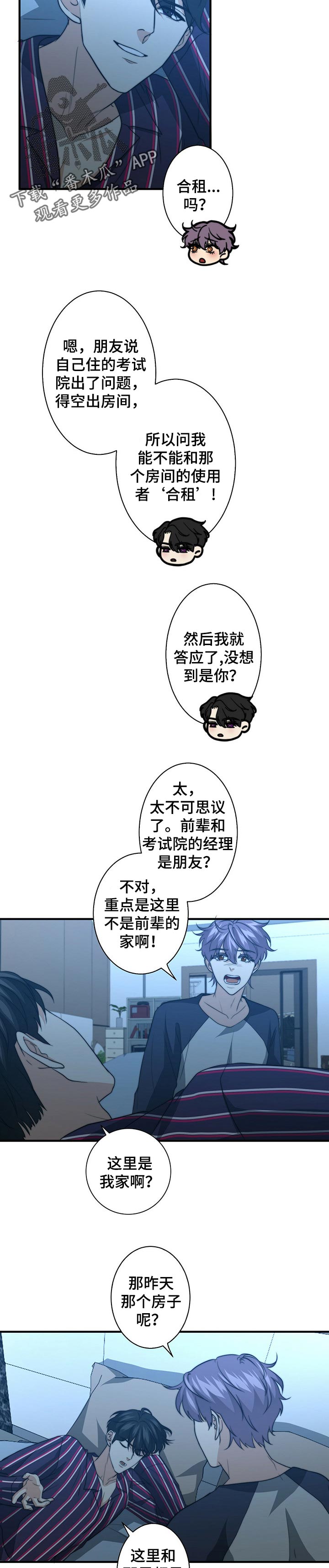 秘密配对漫画在哪里看漫画,第55章：都是陷阱3图
