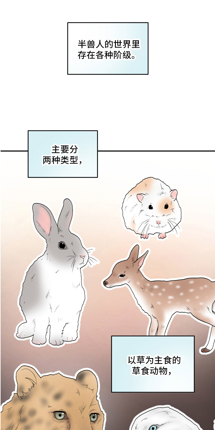 仓鼠被一口吃掉漫画,第1章：仓鼠1图