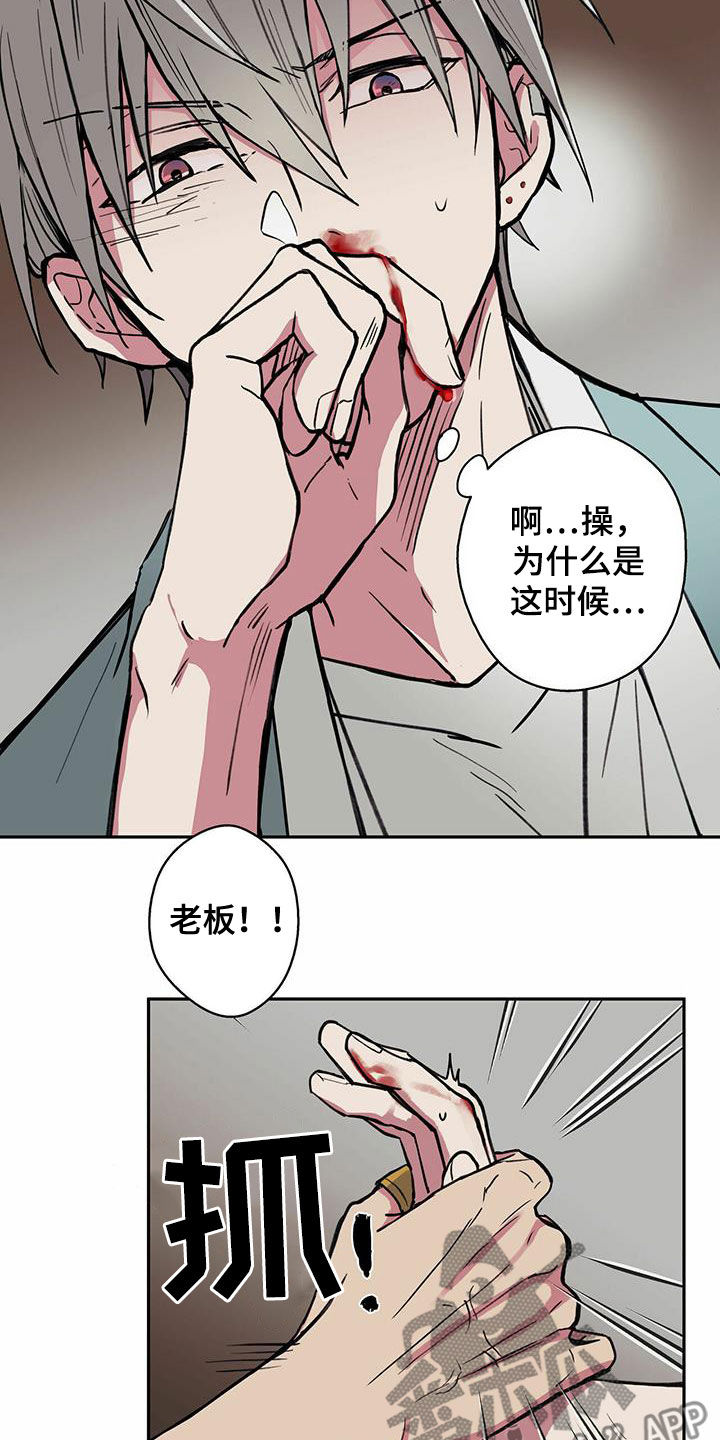 幸运信用漫画,第20章：老实4图