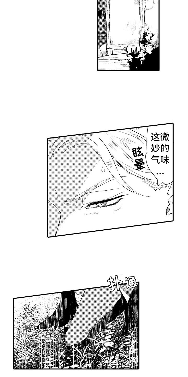 第2章：好奇偷看4