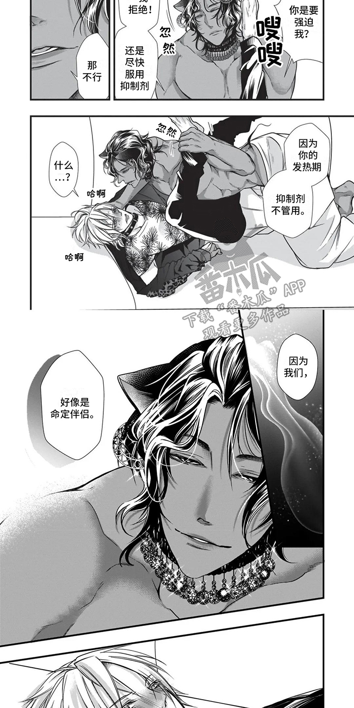 猪猪侠百变联盟动画漫画,第20章：命定伴侣3图