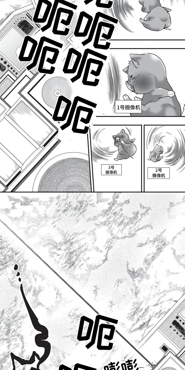 猪猪侠超星萌宠漫画,第27章：必杀技3图