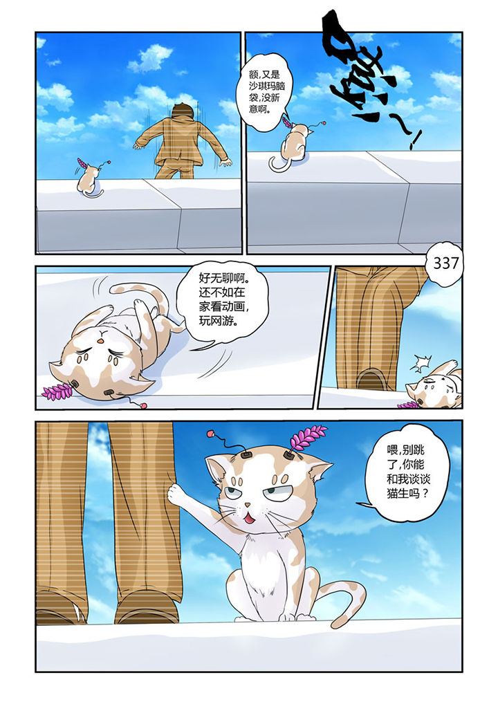 第4章：猫猫丢了吗3