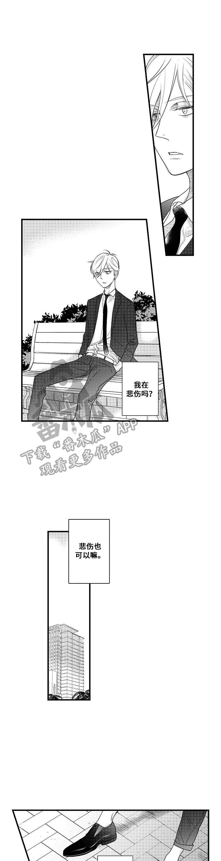 第17章：傻子一样0