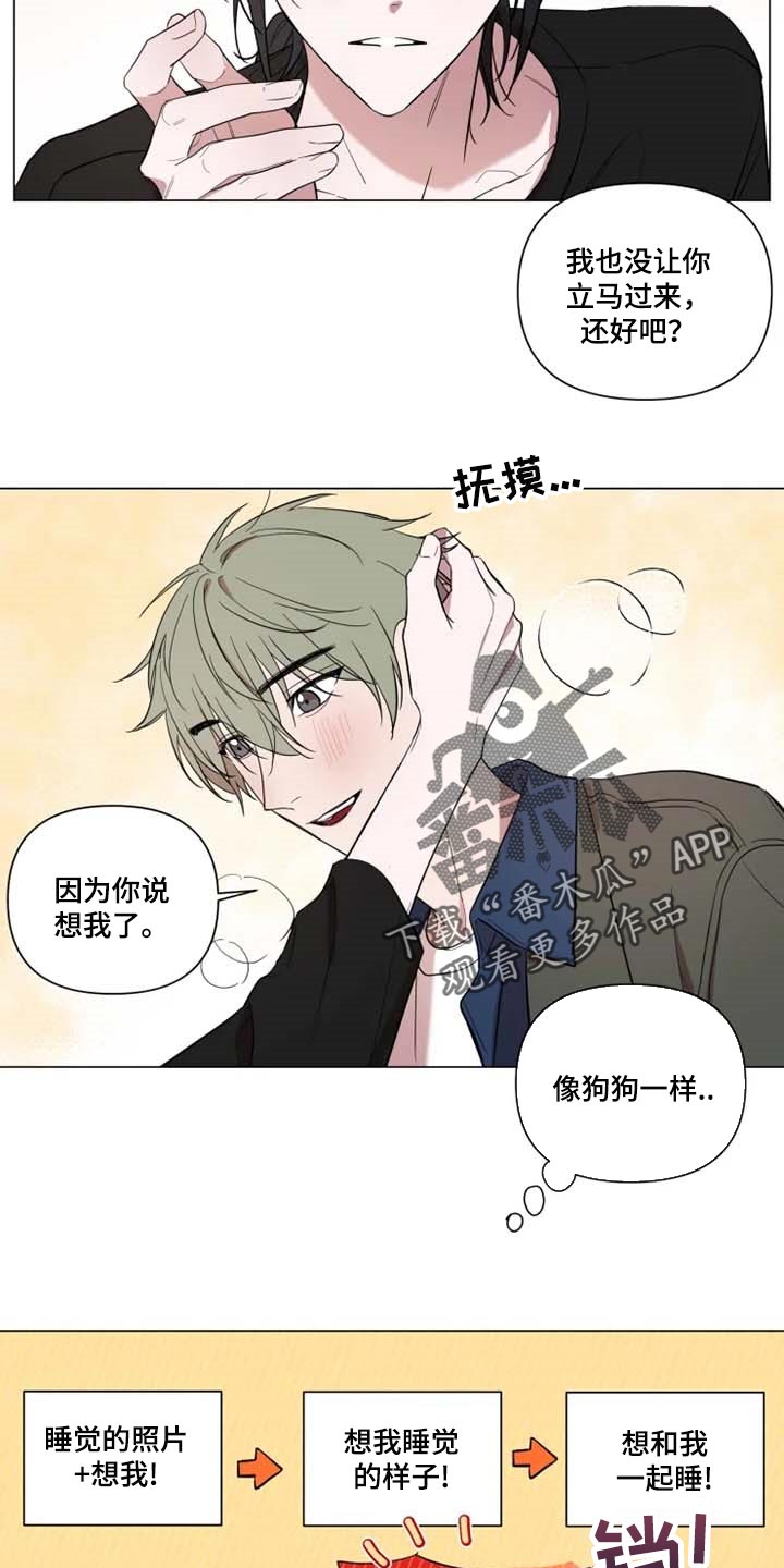 小小恋歌中文谐音漫画,第61章：像狗狗一样3图