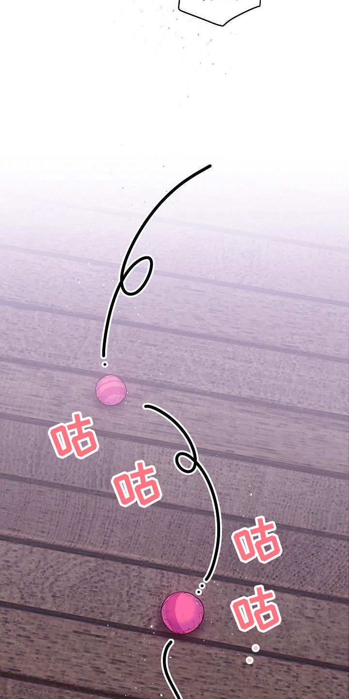 情人节特殊花束漫画,第22章：第二次的黎明：情人节精灵5图