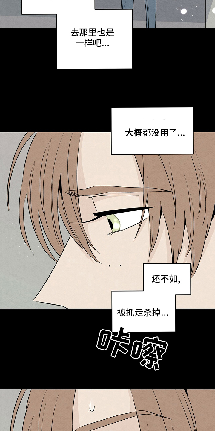 第76章：玫瑰1