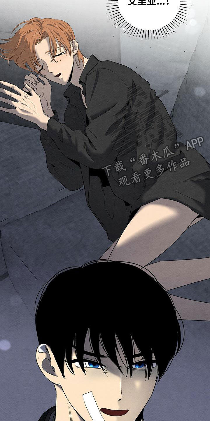 第135章：选择2