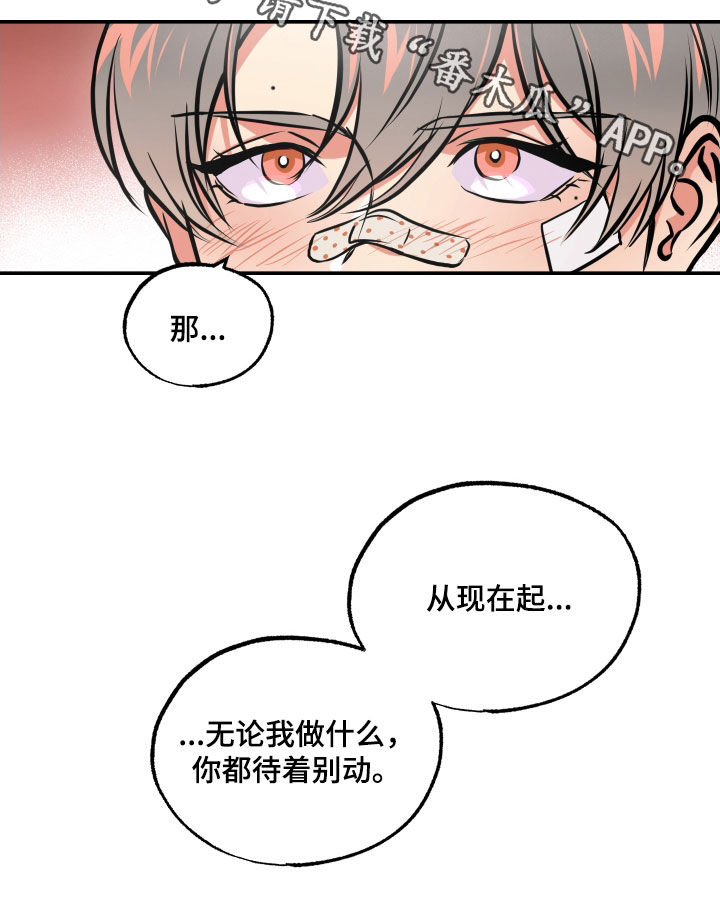 第61章：交往1